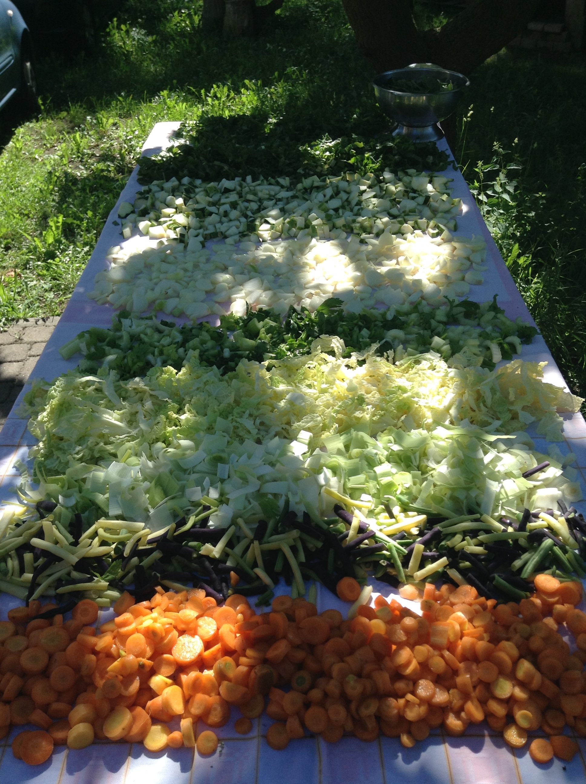 Fresh vegetables from the family allotment